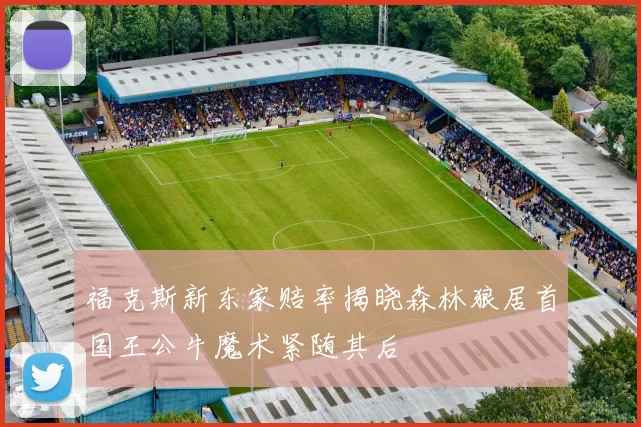 福克斯新东家赔率揭晓森林狼居首国王公牛魔术紧随其后